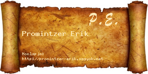 Promintzer Erik névjegykártya